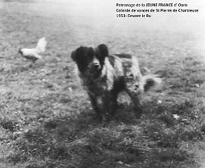 COLO JEUNE FRANCE 1953 devant le Ru 7